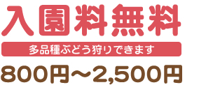 時間無制限・食べ放題　お一人様1,000円