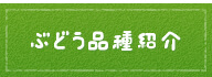 ぶどう品種紹介