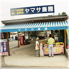 山梨県甲州市勝沼町でぶどう狩りを楽しむならヤマサ農園へ！